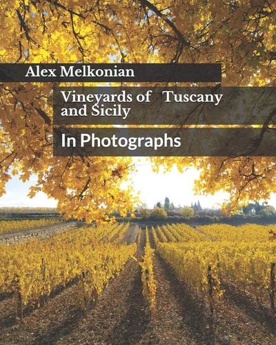 Vineyards of Tuscany and Sicily In Photographs