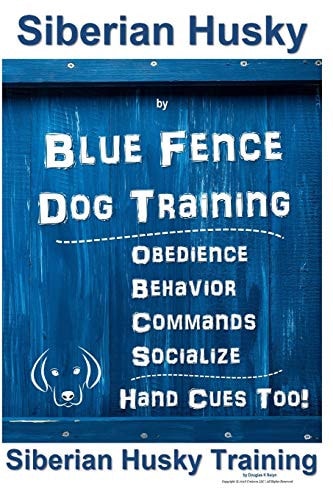 Siberian Husky By Blue Fence DOG Training, Obedience, Behavior, Commands, Socialize, Hand Cues Too! Siberian Husky Training