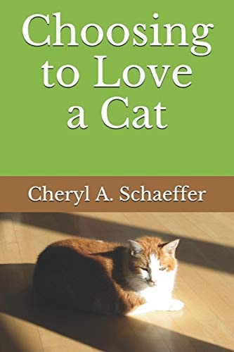 Choosing to Love a Cat