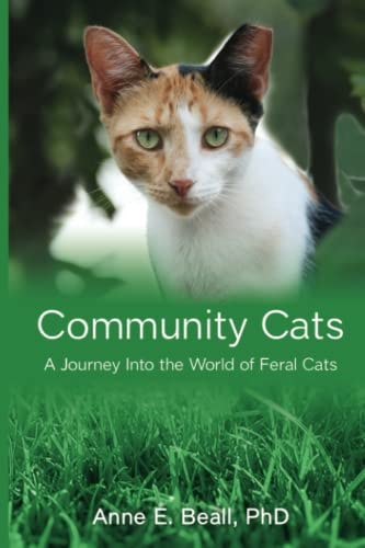 Community Cats A Journey Into the World of Feral Cats