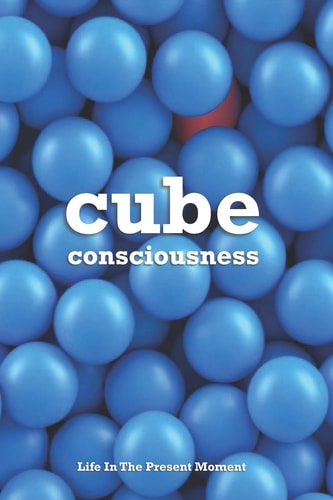 Cube Consciousness Life In The Present Moment