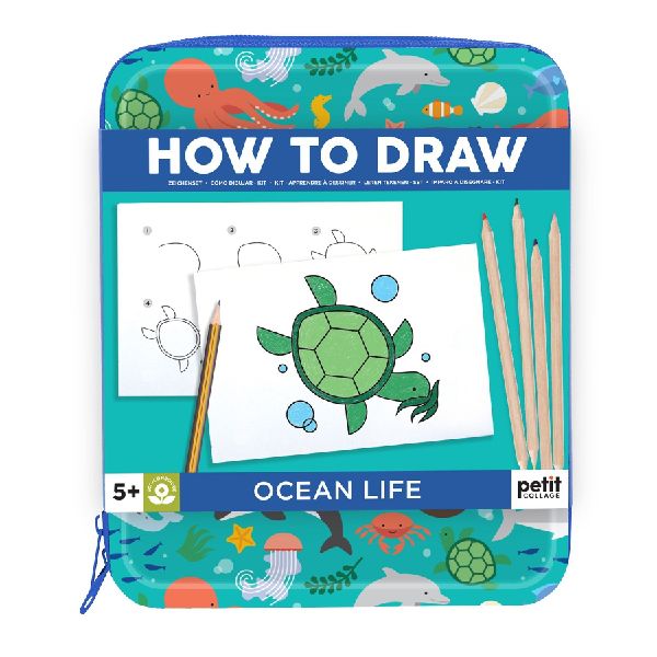 How to Draw Ocean Life