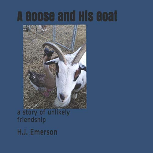 A Goose And His Goat A Story of Unlikely Friendship