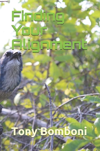 Finding Your Alignment