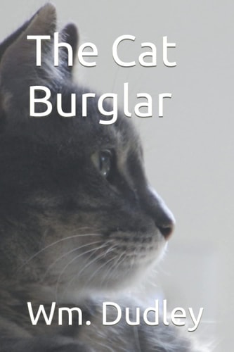 The Cat Burglar The Series
