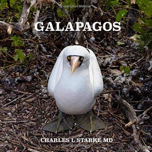 Galapagos Wonders of a Prehistoric World