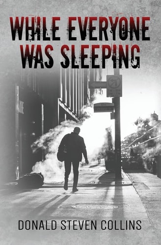 While Everyone Was Sleeping A Litchfield and Danski Novel