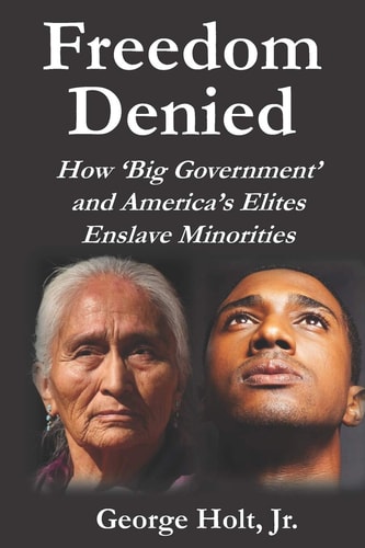 Freedom Denied How 'Big Government' and America's Elites Enslave Minorities