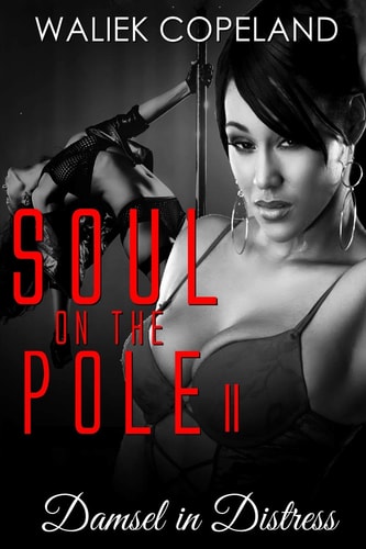 Soul on the Pole 2 Damsel in Distress