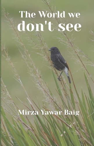 The World We Dont See