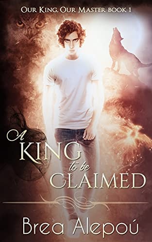 A King to Be Claimed Gay Harem