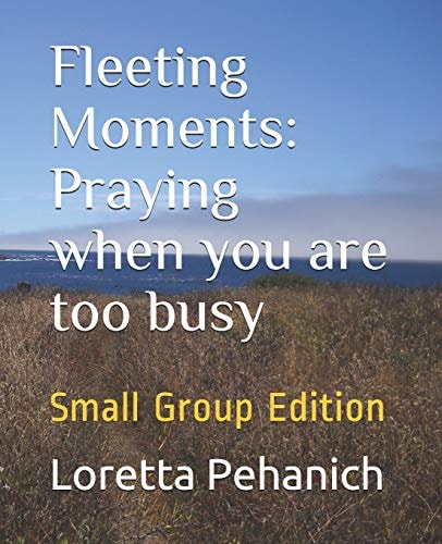 Fleeting Moments Praying When You Are Too Busy: Small Group Edition