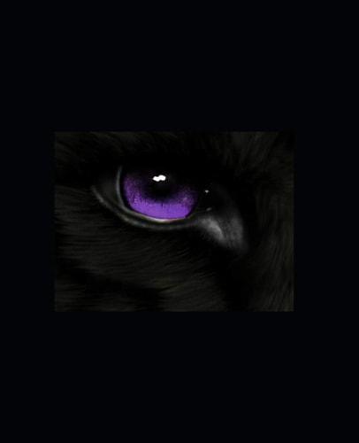 Wolf Limbo: Book 4 of the Wolf Series