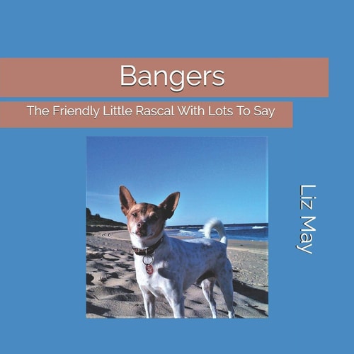 Bangers The Friendly Little Rascal With Lots To Say
