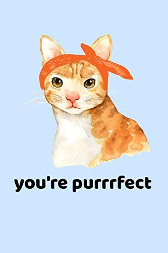 You're Purrrfect Cat Diary 120 Pages 6 X 9