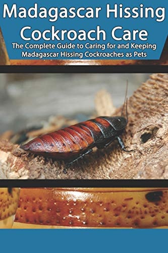 Madagascar Hissing Cockroach Care The Complete Guide to Caring for and Keeping Madagascar Hissing Cockroaches As Pets