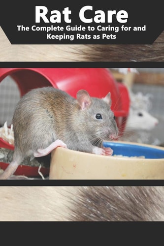 Rat Care The Complete Guide to Caring for and Keeping Rats as Pets