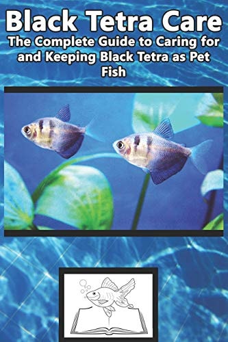 Black Tetra Care The Complete Guide to Caring for and Keeping Black Tetra As Pet Fish