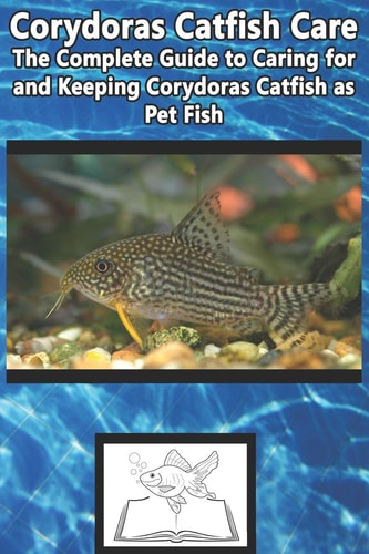 Corydoras Catfish Care The Complete Guide to Caring for and Keeping Corydoras Catfish As Pet Fish
