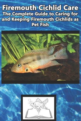 Firemouth Cichlid Care The Complete Guide to Caring for and Keeping Firemouth Cichlids As Pet Fish
