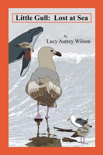 Little Gull Lost at Sea