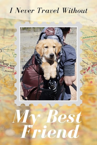 I Never Travel Without My Best Friend