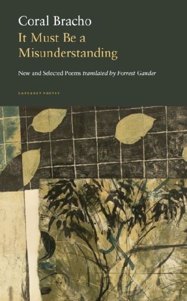 It Must Be a Misunderstanding: New and Selected Poems