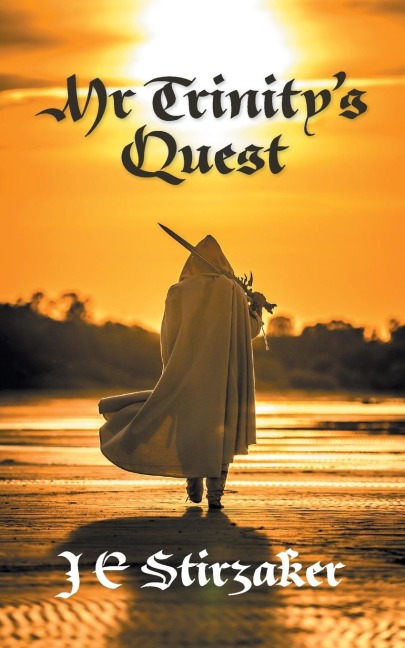 Mr Trinitys Quest