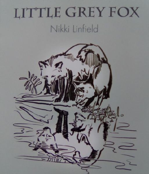 Little Grey Fox: Wondered why things were so hard