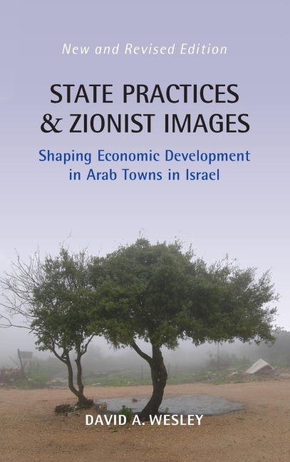 State Practices and Zionist Images: Shaping Economic Development in Arab Towns in Israel
