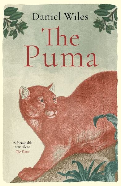 The Puma: A formidable new talent The Times