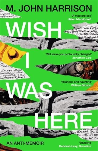 Wish I Was Here: The best writer youve never heard of - Sunday Times