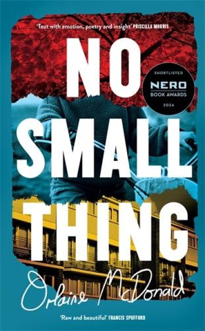 No Small Thing: One of the best debut novels Ive read in recent years Bernardine Evaristo