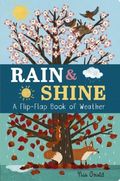 Rain & Shine: A Flip-Flap Book of Weather: A Flip-Flap Book of Weather