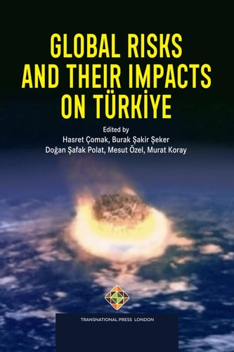 Global Risks and Their Impacts on Türkiye
