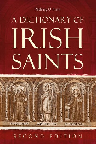 A dictionary of Irish Saints