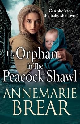 The Orphan in the Peacock Shawl
