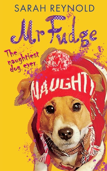 Mr Fudge