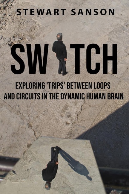 Switch: Exploring Trips between Loops and Circuits in the Dynamic Human Brain