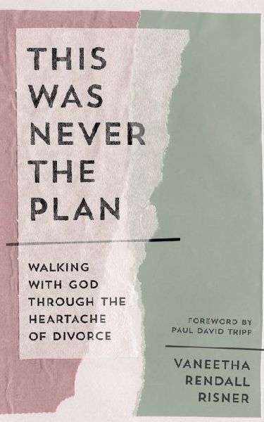 This Was Never the Plan: Walking with God Through the Heartache of Divorce