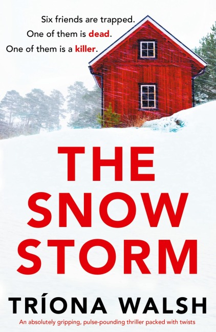 The Snowstorm: An absolutely gripping, pulse-pounding thriller packed with twists