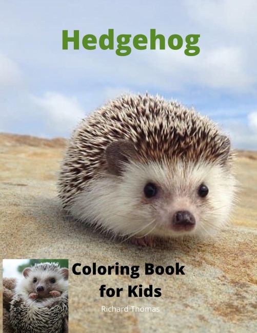Hedgehog  Coloring Book for Kids: Children Activity Book for Boys and Girls Ages 3-8 with Super Cute Hedgehog | A Super Cool Gift for Boys and Girls Ages 3-8 - Hedgehog Coloring and Activity Book | A Unique Collection Hedgehog Pages