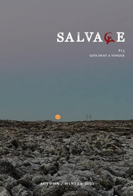 Salvage #13: Give Dust a Tongue
