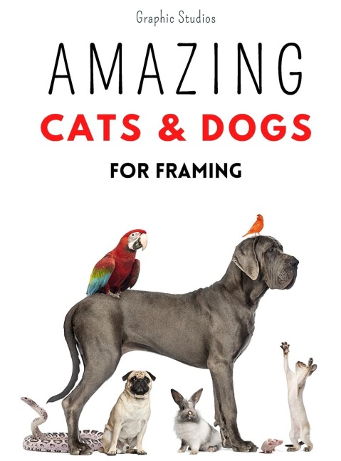 Amazing Cats and Dogs for Framing: Amazing pet photos, funny dogs and cats to frame