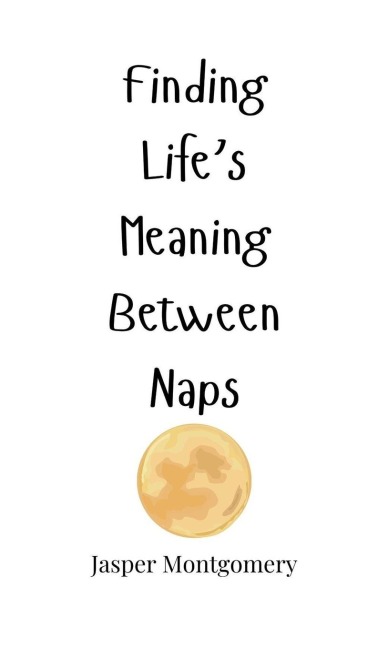 Finding Lifes Meaning Between Naps