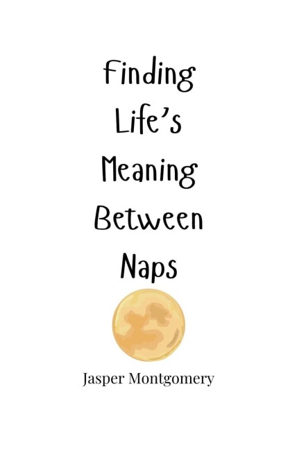 Finding Lifes Meaning Between Naps