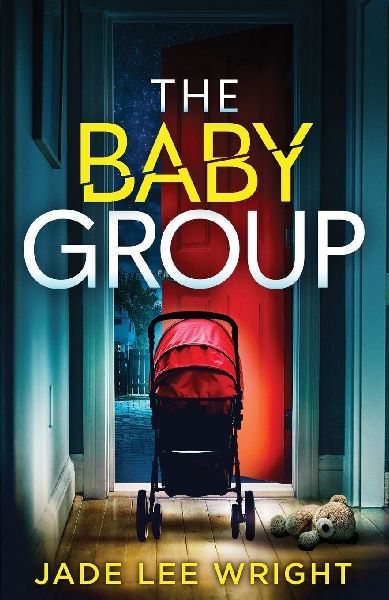 The Baby Group: A totally addictive psychological thriller with a shocking final twist