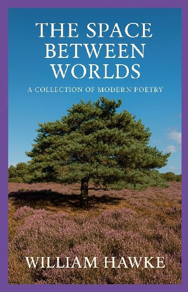 The Space Between Worlds: A collection of modern poetry