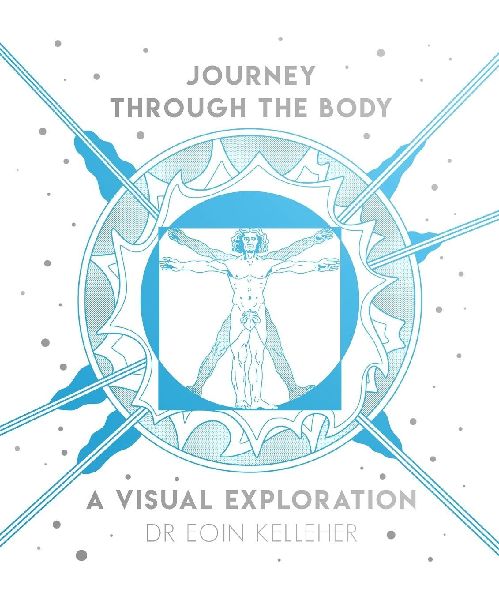 Journey Through the Body: A Visual Exploration