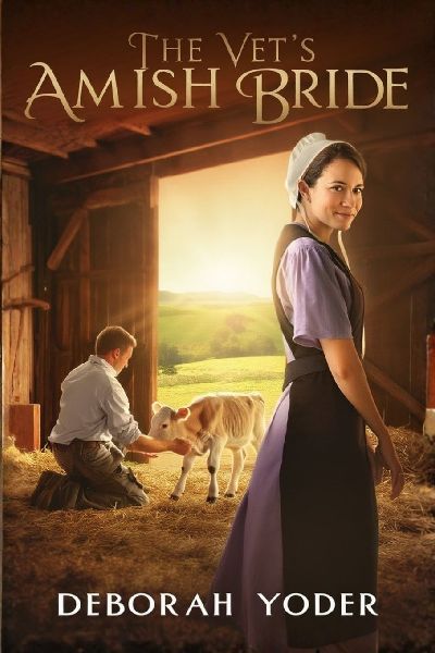 The Vets Amish Bride - An Amish Romance